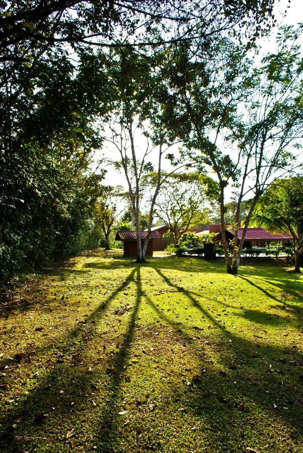 Natural Lodge Cano Negro Екстериор снимка