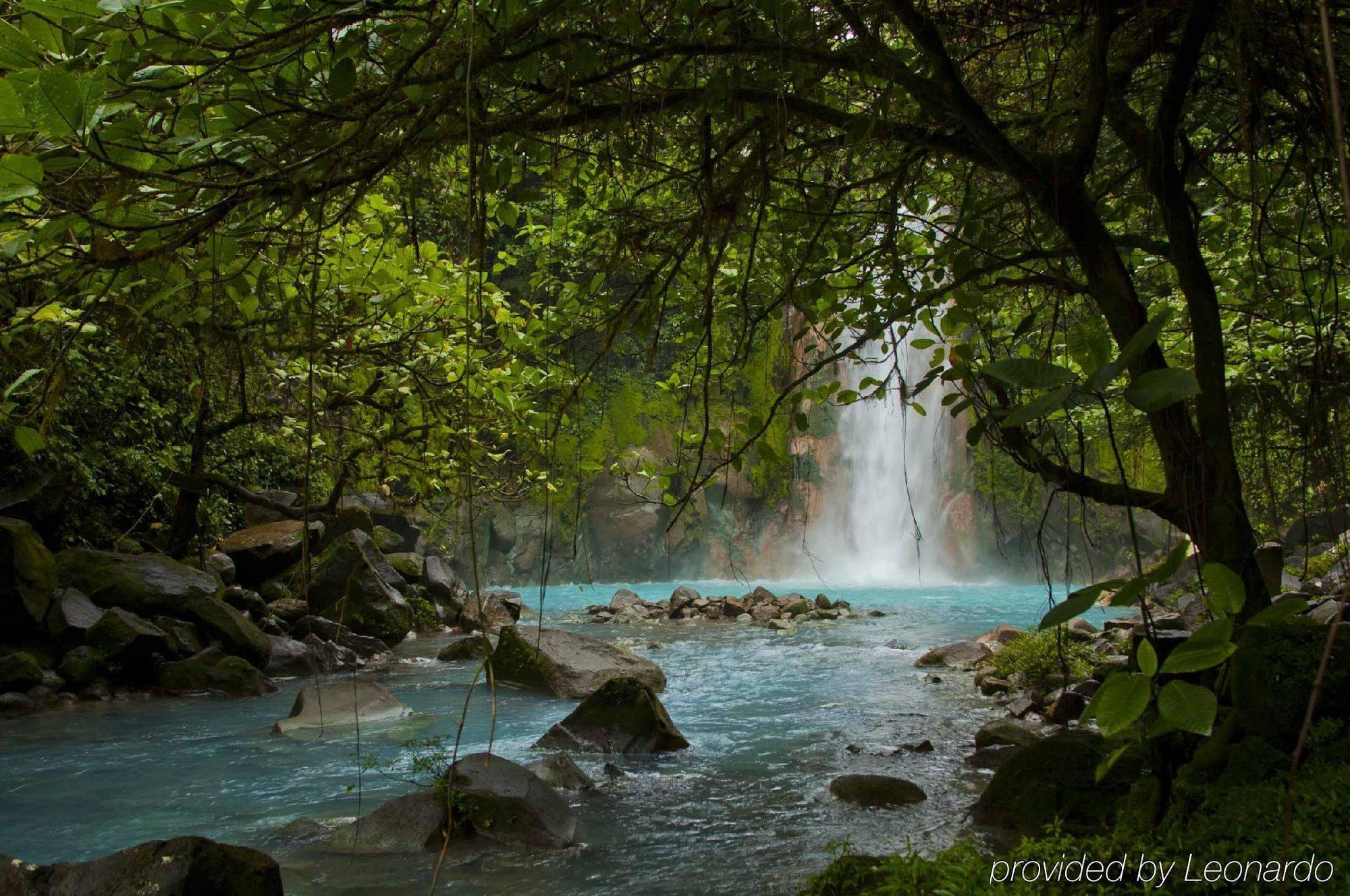 Natural Lodge Cano Negro Екстериор снимка