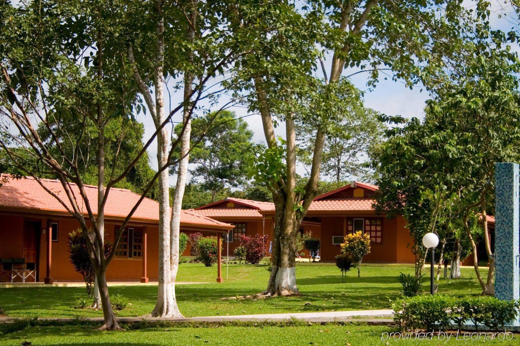 Natural Lodge Cano Negro Екстериор снимка